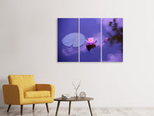 Laden Sie das Bild in den Galerie-Viewer, Leinwandbild 3-teilig Lotus Blüte