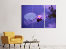 Laden Sie das Bild in den Galerie-Viewer, Leinwandbild 3-teilig Lotus Blüte