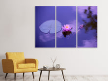 Laden Sie das Bild in den Galerie-Viewer, Leinwandbild 3-teilig Lotus Blüte