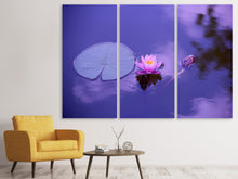 Laden Sie das Bild in den Galerie-Viewer, Leinwandbild 3-teilig Lotus Blüte