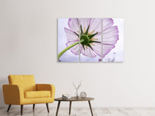 Laden Sie das Bild in den Galerie-Viewer, Leinwandbild 3-teilig Die Kosmos Blume