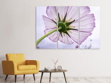 Laden Sie das Bild in den Galerie-Viewer, Leinwandbild 3-teilig Die Kosmos Blume