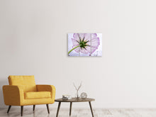 Laden Sie das Bild in den Galerie-Viewer, Leinwandbild 3-teilig Die Kosmos Blume