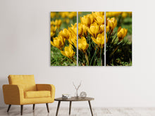 Laden Sie das Bild in den Galerie-Viewer, Leinwandbild 3-teilig Krokusse im Frühling