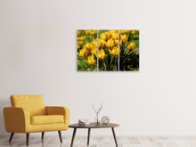 Laden Sie das Bild in den Galerie-Viewer, Leinwandbild 3-teilig Krokusse im Frühling