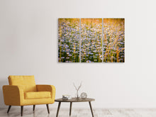 Laden Sie das Bild in den Galerie-Viewer, Leinwandbild 3-teilig Ein Feld voll Kamille