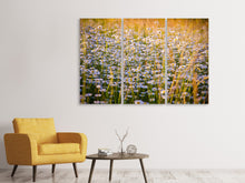 Laden Sie das Bild in den Galerie-Viewer, Leinwandbild 3-teilig Ein Feld voll Kamille