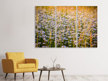 Laden Sie das Bild in den Galerie-Viewer, Leinwandbild 3-teilig Ein Feld voll Kamille