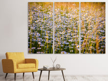 Laden Sie das Bild in den Galerie-Viewer, Leinwandbild 3-teilig Ein Feld voll Kamille