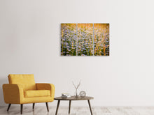 Laden Sie das Bild in den Galerie-Viewer, Leinwandbild 3-teilig Ein Feld voll Kamille
