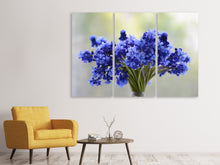 Laden Sie das Bild in den Galerie-Viewer, Leinwandbild 3-teilig Ein Strauss Blumen
