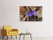 Laden Sie das Bild in den Galerie-Viewer, Leinwandbild 3-teilig Wildblumen