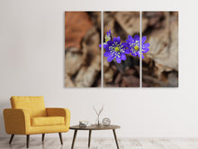 Laden Sie das Bild in den Galerie-Viewer, Leinwandbild 3-teilig Wildblumen