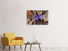 Laden Sie das Bild in den Galerie-Viewer, Leinwandbild 3-teilig Wildblumen