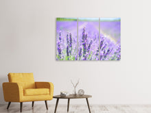Laden Sie das Bild in den Galerie-Viewer, Leinwandbild 3-teilig Die Lavendelblüte