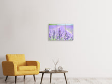 Laden Sie das Bild in den Galerie-Viewer, Leinwandbild 3-teilig Die Lavendelblüte