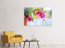 Laden Sie das Bild in den Galerie-Viewer, Leinwandbild 3-teilig Die Fuchsien