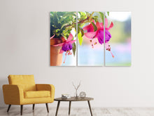Laden Sie das Bild in den Galerie-Viewer, Leinwandbild 3-teilig Die Fuchsien
