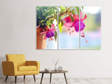 Laden Sie das Bild in den Galerie-Viewer, Leinwandbild 3-teilig Die Fuchsien
