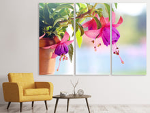Laden Sie das Bild in den Galerie-Viewer, Leinwandbild 3-teilig Die Fuchsien