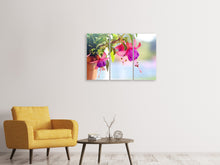 Laden Sie das Bild in den Galerie-Viewer, Leinwandbild 3-teilig Die Fuchsien