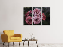 Laden Sie das Bild in den Galerie-Viewer, Leinwandbild 3-teilig Romantische Rosen