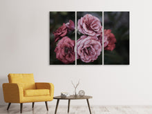 Laden Sie das Bild in den Galerie-Viewer, Leinwandbild 3-teilig Romantische Rosen