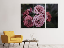 Laden Sie das Bild in den Galerie-Viewer, Leinwandbild 3-teilig Romantische Rosen