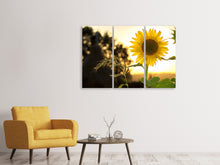 Laden Sie das Bild in den Galerie-Viewer, Leinwandbild 3-teilig Sonnenblume im Sonnenaufgang