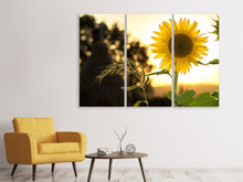 Laden Sie das Bild in den Galerie-Viewer, Leinwandbild 3-teilig Sonnenblume im Sonnenaufgang