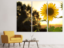 Laden Sie das Bild in den Galerie-Viewer, Leinwandbild 3-teilig Sonnenblume im Sonnenaufgang