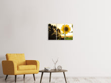 Laden Sie das Bild in den Galerie-Viewer, Leinwandbild 3-teilig Sonnenblume im Sonnenaufgang