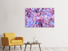 Laden Sie das Bild in den Galerie-Viewer, Leinwandbild 3-teilig Prächtige Kirschblüte
