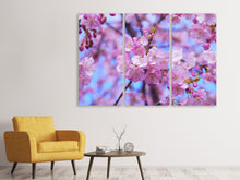 Laden Sie das Bild in den Galerie-Viewer, Leinwandbild 3-teilig Prächtige Kirschblüte