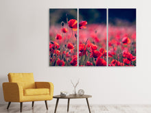 Laden Sie das Bild in den Galerie-Viewer, Leinwandbild 3-teilig Im Mohn Feld