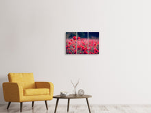 Laden Sie das Bild in den Galerie-Viewer, Leinwandbild 3-teilig Im Mohn Feld