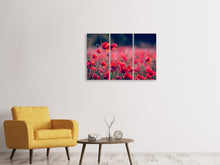 Laden Sie das Bild in den Galerie-Viewer, Leinwandbild 3-teilig Im Mohn Feld