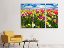 Laden Sie das Bild in den Galerie-Viewer, Leinwandbild 3-teilig Das Frühlingserwachen