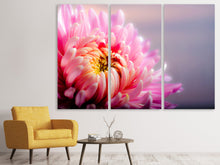Laden Sie das Bild in den Galerie-Viewer, Leinwandbild 3-teilig Makro Chrysantheme