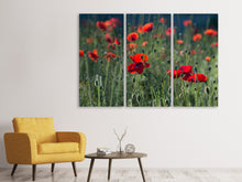Laden Sie das Bild in den Galerie-Viewer, Leinwandbild 3-teilig Wilder Mohn