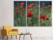 Laden Sie das Bild in den Galerie-Viewer, Leinwandbild 3-teilig Wilder Mohn
