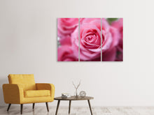 Laden Sie das Bild in den Galerie-Viewer, Leinwandbild 3-teilig Rosen Makro