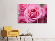 Laden Sie das Bild in den Galerie-Viewer, Leinwandbild 3-teilig Rosen Makro