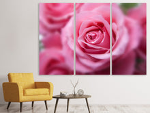 Laden Sie das Bild in den Galerie-Viewer, Leinwandbild 3-teilig Rosen Makro