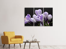 Laden Sie das Bild in den Galerie-Viewer, Leinwandbild 3-teilig Der Krokus