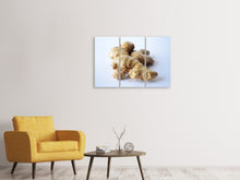 Laden Sie das Bild in den Galerie-Viewer, Leinwandbild 3-teilig Frische Ingwer Knolle