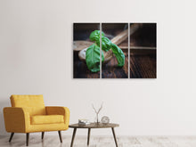 Laden Sie das Bild in den Galerie-Viewer, Leinwandbild 3-teilig Frischer Basilikum XL
