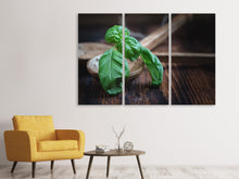 Laden Sie das Bild in den Galerie-Viewer, Leinwandbild 3-teilig Frischer Basilikum XL