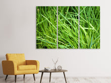 Laden Sie das Bild in den Galerie-Viewer, Leinwandbild 3-teilig Frischer Schnittlauch XL