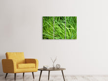 Laden Sie das Bild in den Galerie-Viewer, Leinwandbild 3-teilig Frischer Schnittlauch XL